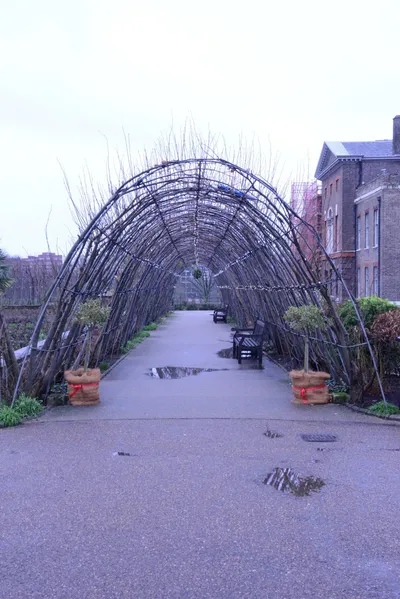 DSC_6184 (Large).JPG